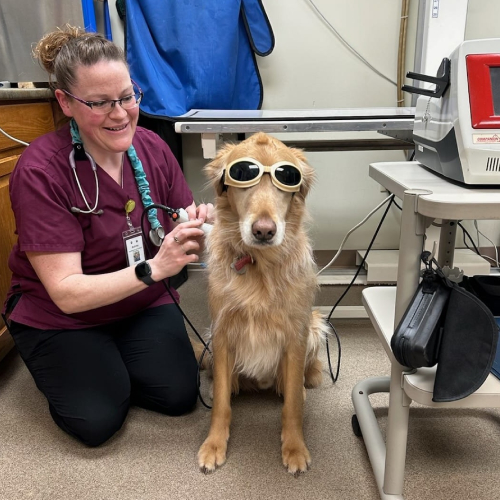 laser-therapy (1)